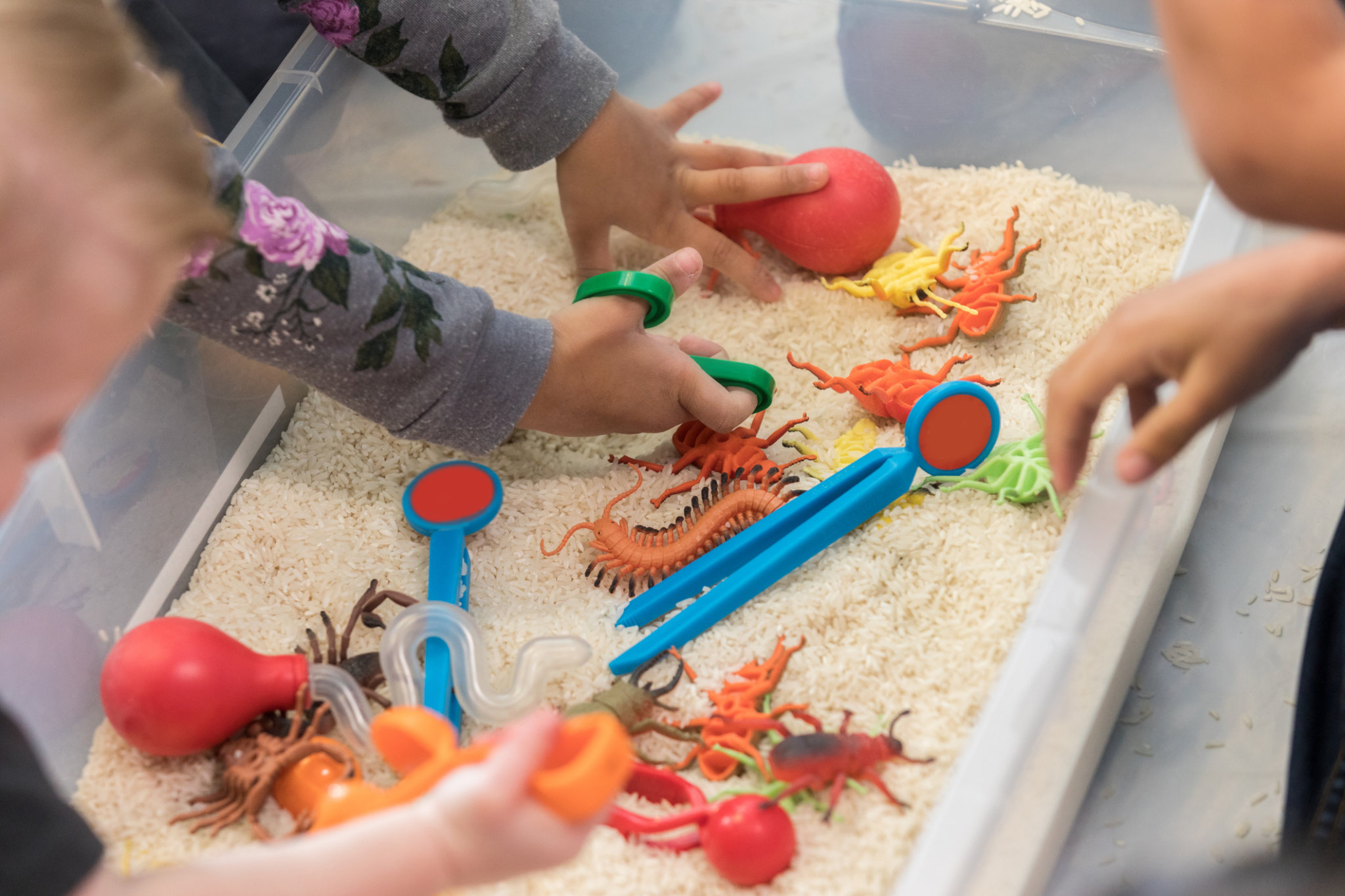 Young children enjoying a playful moment with rice in a bright plastic insects container, exploring textures and creativity.